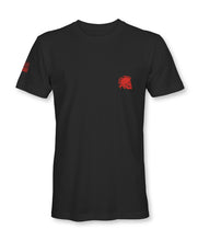 Load image into Gallery viewer, [PRE-ORDER] BLACK FLAG - TShirt
