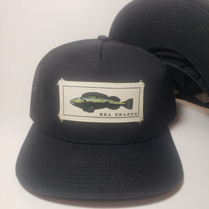 Patagucci - Sea Dragon Snapback